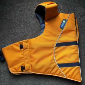 Dog life vest
